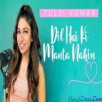 dil hai ke manta nahin mp3 songs free download